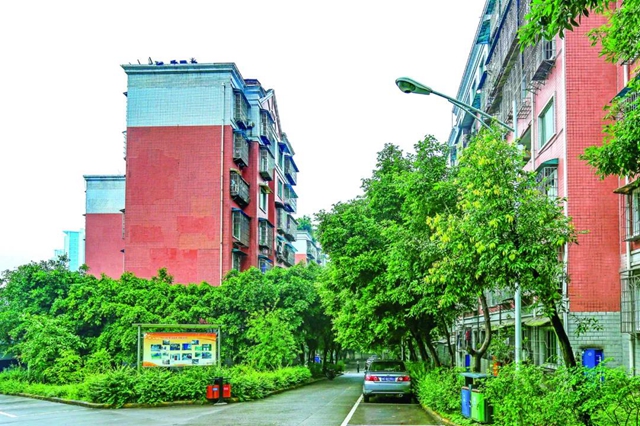 泸州老旧小区改造：既要“面子” 也要“里子”