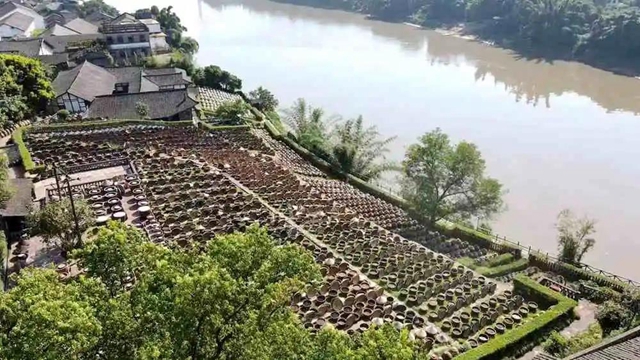 合江:水清鱼跃酱油香(图2) 合江:水清鱼跃酱油香(图2)