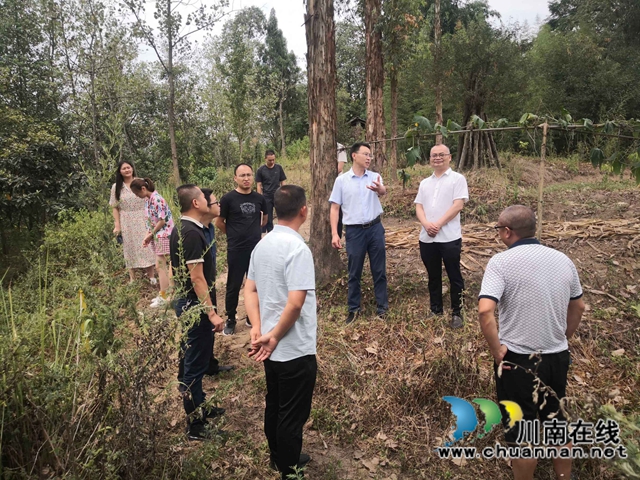 泸县乡村振兴局到云龙镇指导乡村振兴项目规划(图1)