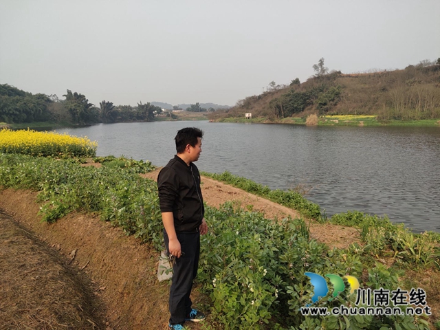 龙马潭区胡市镇：乡贤“雁归”，绘就乡村振兴致富路(图3)