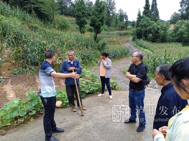 15万元物资+11支队伍,助力古蔺灾后重建(图4) 15万元物资+11支队伍,助力古蔺灾后重建(图4)