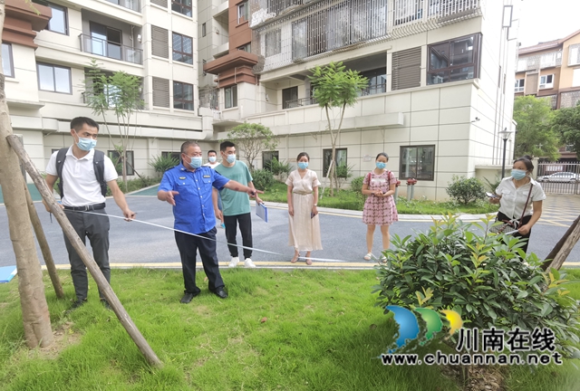 龙马潭区第一批撤桶并点垃圾投放服务站进入场地勘验阶段(图1)