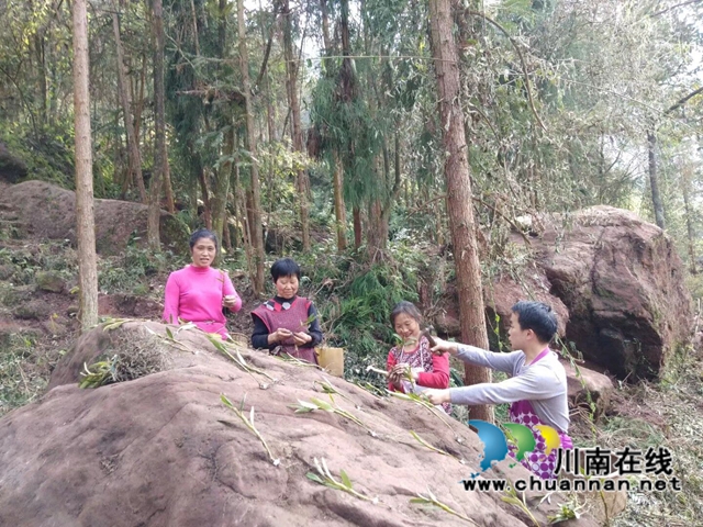 合江县先滩镇梨树塆村乡贤人士李相金：一个让山区石头长出“金条”的“领头雁”(图3)