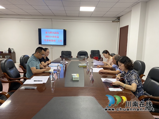 龙马潭区政协副主席杜朝林带队调研小市街道“有事来协商”工作(图2)