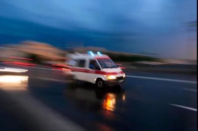 【扩散】致命“红火蚁”出没，泸州男子被咬伤入院(图4)