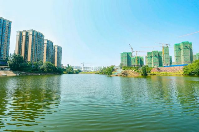 规划面积30公顷！宜宾这个地方将新增一处湿地公园！(图5)