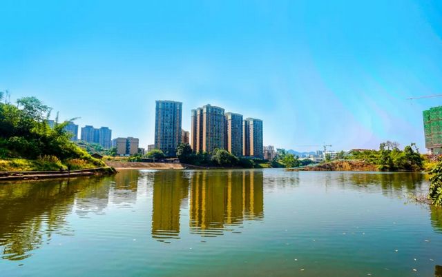 规划面积30公顷！宜宾这个地方将新增一处湿地公园！(图10)