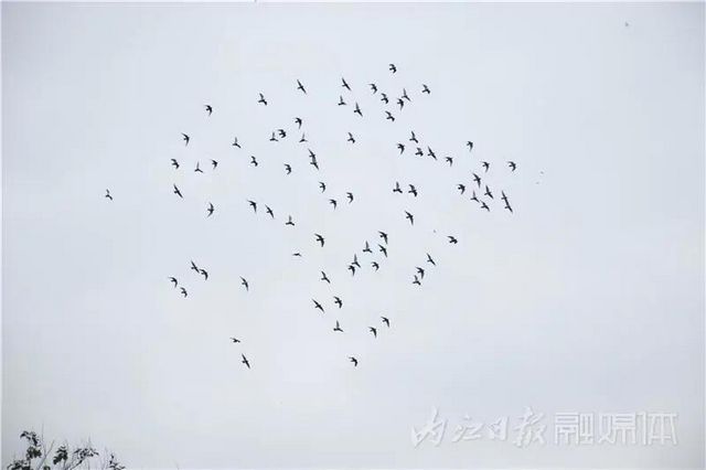 隐于山水间的“绝色”！内江附近又添周末放空好去处(图6)