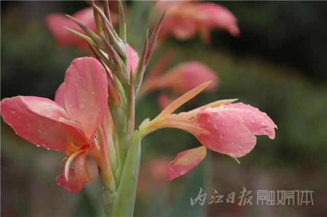 隐于山水间的“绝色”！内江附近又添周末放空好去处(图7)