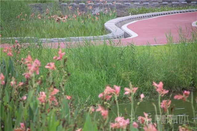 隐于山水间的“绝色”！内江附近又添周末放空好去处(图13)