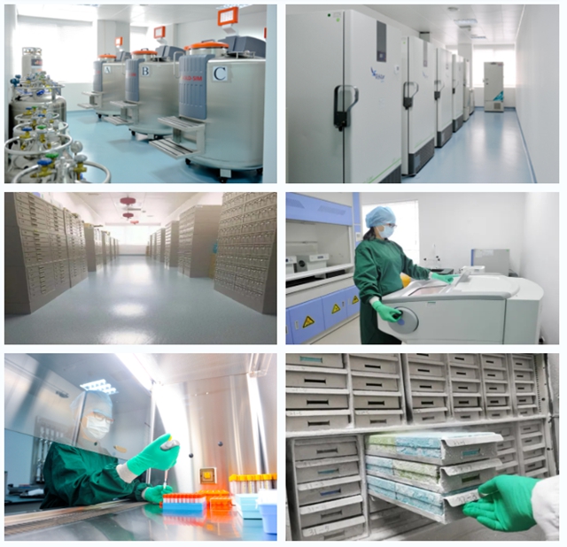 谁家的冰箱里会放血液、肝脏、肾脏、十二指肠……(图1) 谁家的冰箱里会放血液、肝脏、肾脏、十二指肠……(图1)