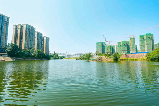 宜宾将新增一个超大湿地公园！规划面积30公顷！(图3)