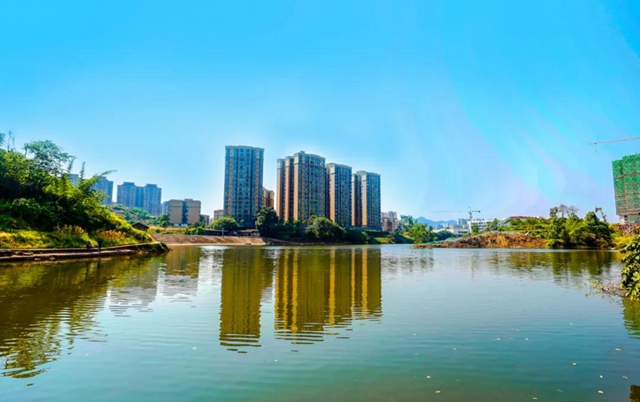 宜宾将新增一个超大湿地公园！规划面积30公顷！(图7)
