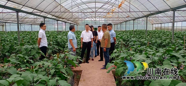 古蔺县大寨苗族乡:基层取经谋发展,干群齐心绘蓝图(图2) 古蔺县大寨苗族乡:基层取经谋发展,干群齐心绘蓝图(图2)