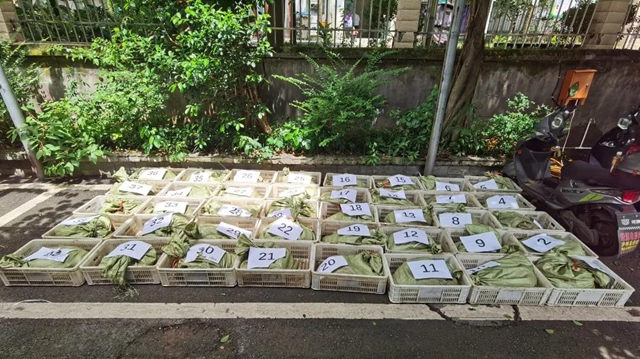 泸州两父子在地下室藏1000多斤野生癞疙宝