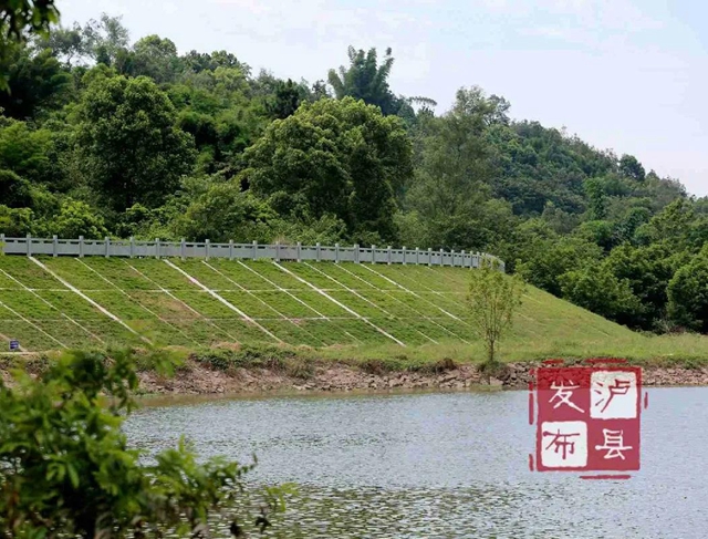 美呆了，泸县最美河堤诞生！(图7)
