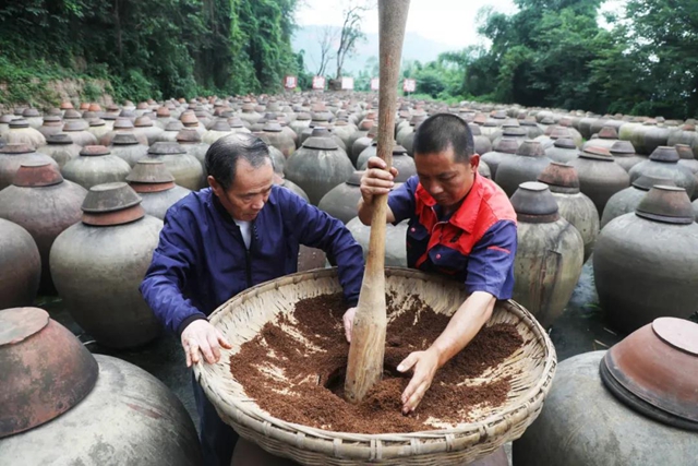 四川“天府旅游名品”选拔！宜宾这些“选手”参赛(图20)