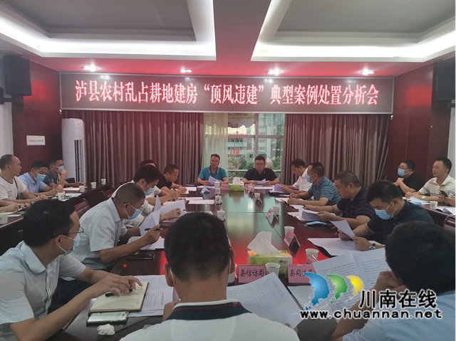 泸县召开农村乱占耕地建房“顶风违建”典型案例处置分析会(图1)