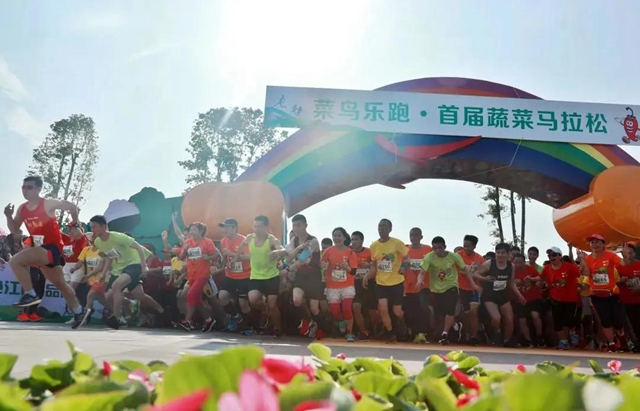 跑步、骑游、爬山……泸州这些好去处~总有一个适合你(图10)