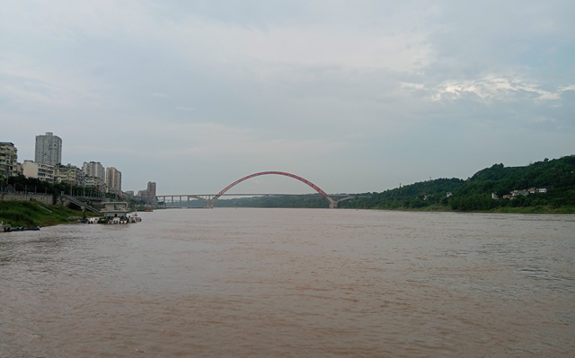 一天涨水近4米！洪峰今天过境合江(图1)