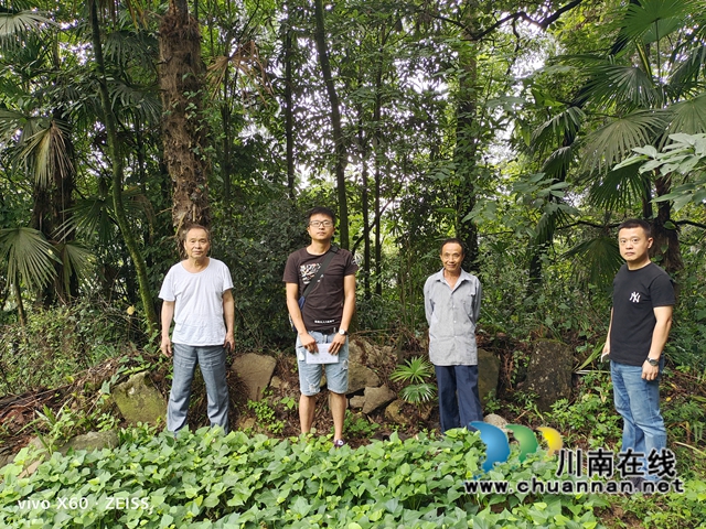 古蔺县大寨苗族乡发现烈士墓群(图1)