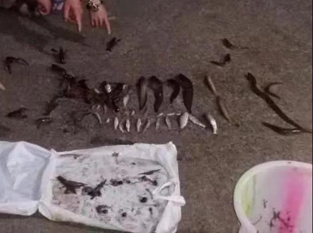 这顿宵夜投得“贵” 叙永四名男子将面临牢狱之灾(图1)