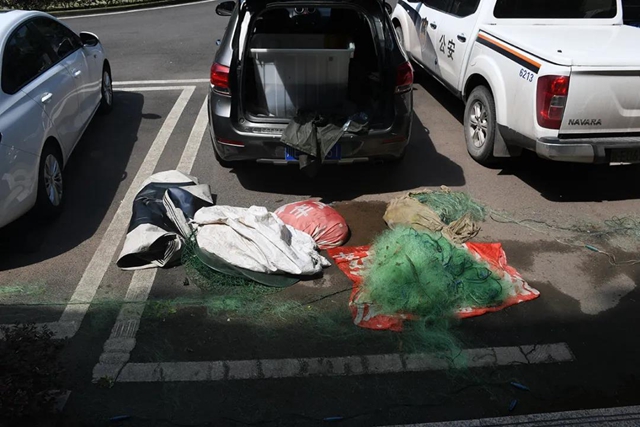 泸县：捕捞野生鱼千斤，6人落网(图5)