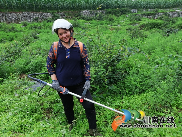 古蔺金兰新乡贤雷顺：让荒山遍地是金银(图3)