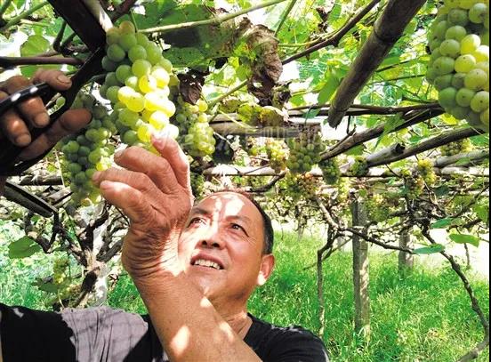 关注！内江城乡居民收入差距现在有多大？数据来了