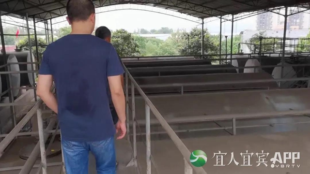 曝光！宜宾、泸州市场每月流入数千吨“歪油”！7人已被抓……(图16)