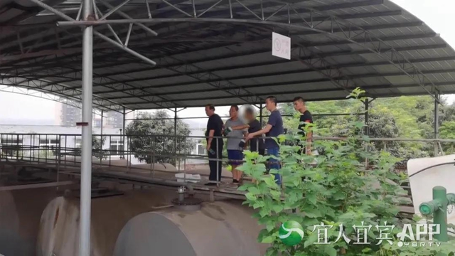 曝光！宜宾、泸州市场每月流入数千吨“歪油”！7人已被抓……(图15)