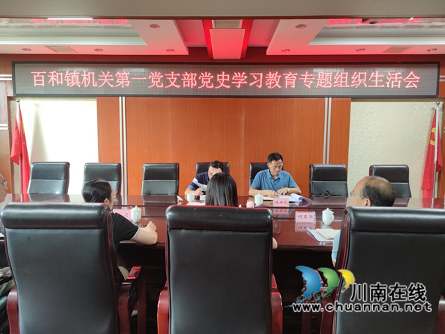 泸县百和镇机关第一党支部召开党史学习教育专题组织生活会(图1)