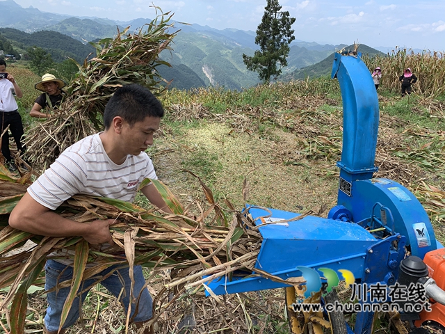 古蔺县二郎镇：“一二三”齐步走，开创乡村振兴新局面(图3)