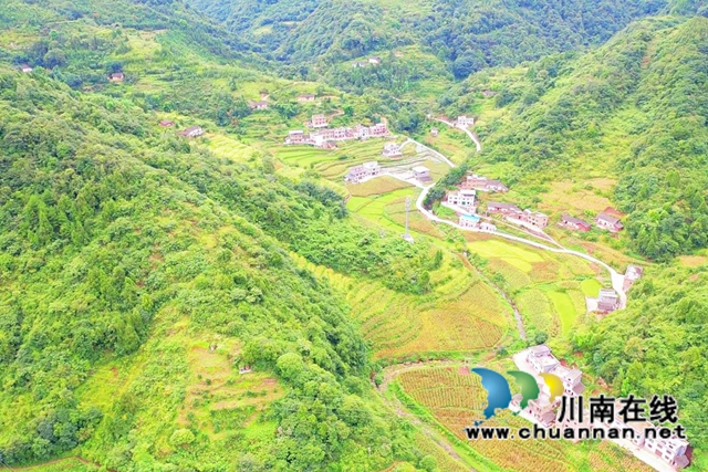 古蔺县彰德街道：大户带小户共走致富路(图3)