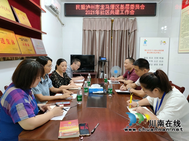 民盟泸州市龙马潭区基层委员会：合谋共建，服务社区(图1)