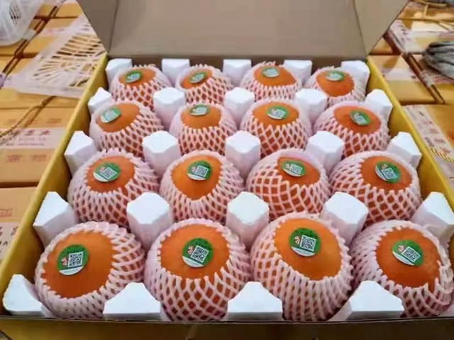 古蔺猕猴桃和古蔺甜橙成功获准国家级地理标志证明商标(图5)