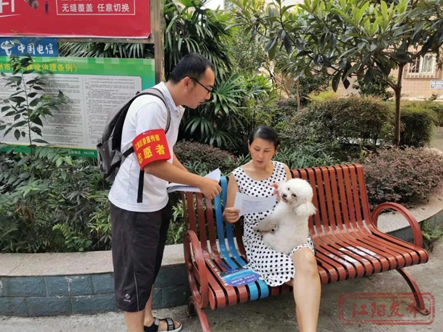 招募令丨文明志愿者大家庭,等您来参与!(图6) 招募令丨文明志愿者大家庭,等您来参与!(图6)