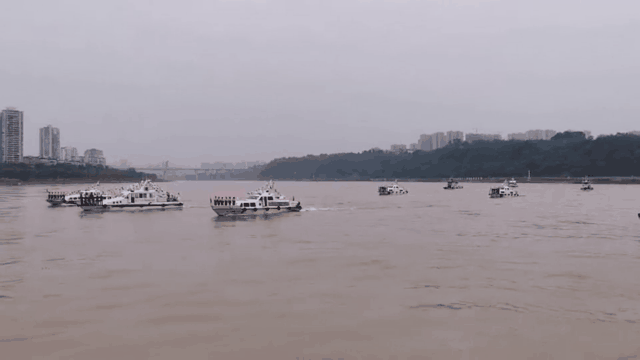 全省公安机关服务保障长江经济带高质量发展工作推进会在泸州召开(图7)