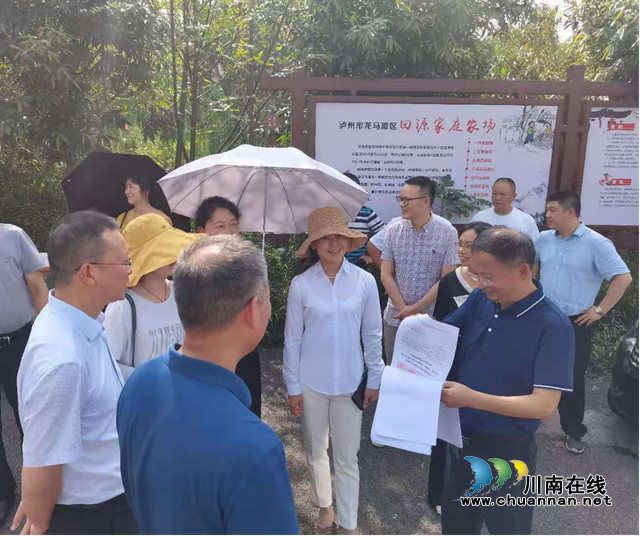 省督导组到龙马潭区督导“大棚房”清理整治专项行动“回头看”工作(图1)