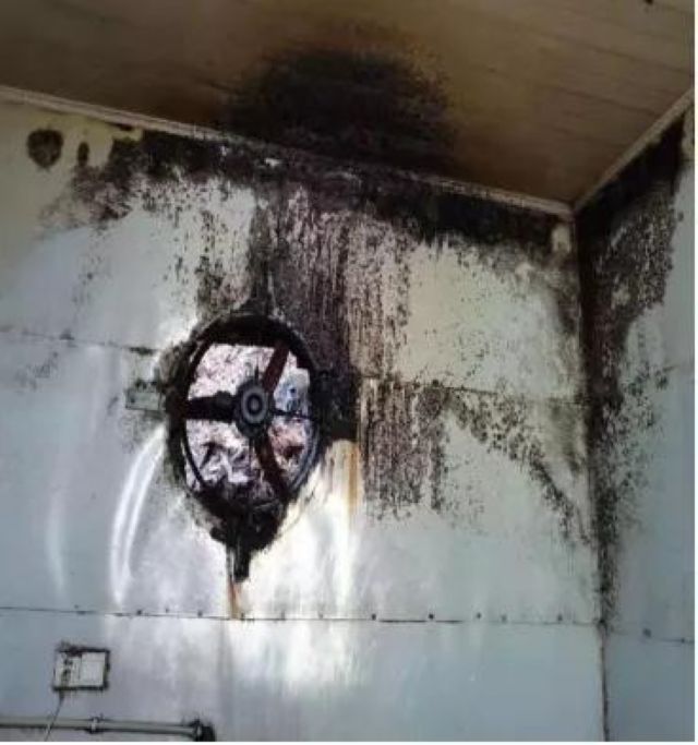 泸州市食品安全“红黑榜”（第九期）(图11)