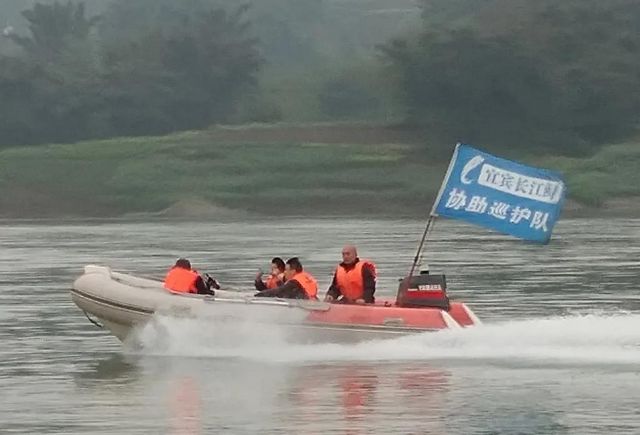 “鲟”梦长江 三方合力保护长江鲟(图2)