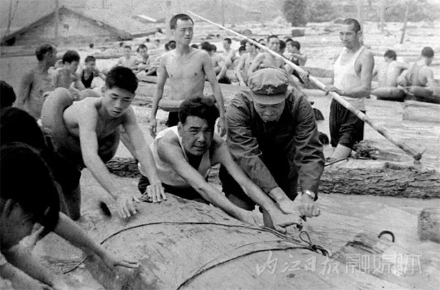 惊呆了！这位内江人的镜头中，曾留下国内众多名人的身影(图18)
