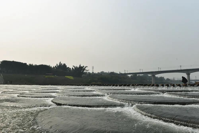 超10万㎡！宜宾这个地方新建了一个滨江公园(图1)