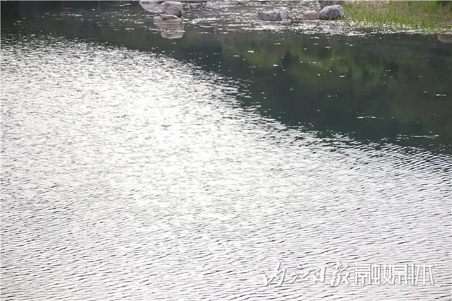 变得不敢相信！内江大自然湿地公园要来啦！(图4)