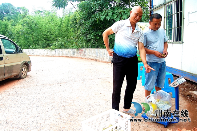 纳溪区白节镇：种猕猴桃养猪，生态种养增收多(图1)