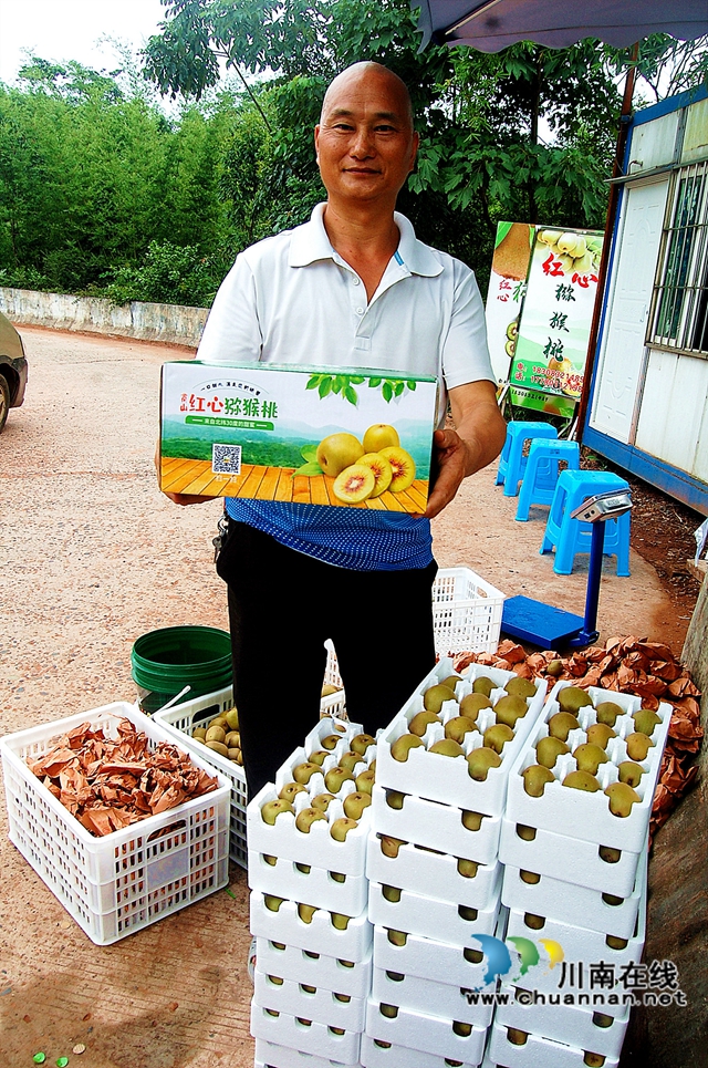 纳溪区白节镇：种猕猴桃养猪，生态种养增收多(图2)