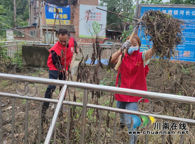 泸县海潮镇集中开展“文明行动日”活动(图5) 泸县海潮镇集中开展“文明行动日”活动(图5)