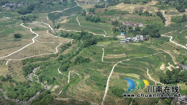 探秘古蔺彰德街道“三宝养成记”：大山里的“麻·辣·鸡”串起大园区(图2)