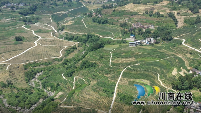 探秘古蔺彰德街道“三宝养成记”：大山里的“麻·辣·鸡”串起大园区(图2)