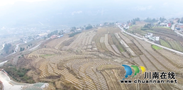 探秘古蔺彰德街道“三宝养成记”：大山里的“麻·辣·鸡”串起大园区(图1)